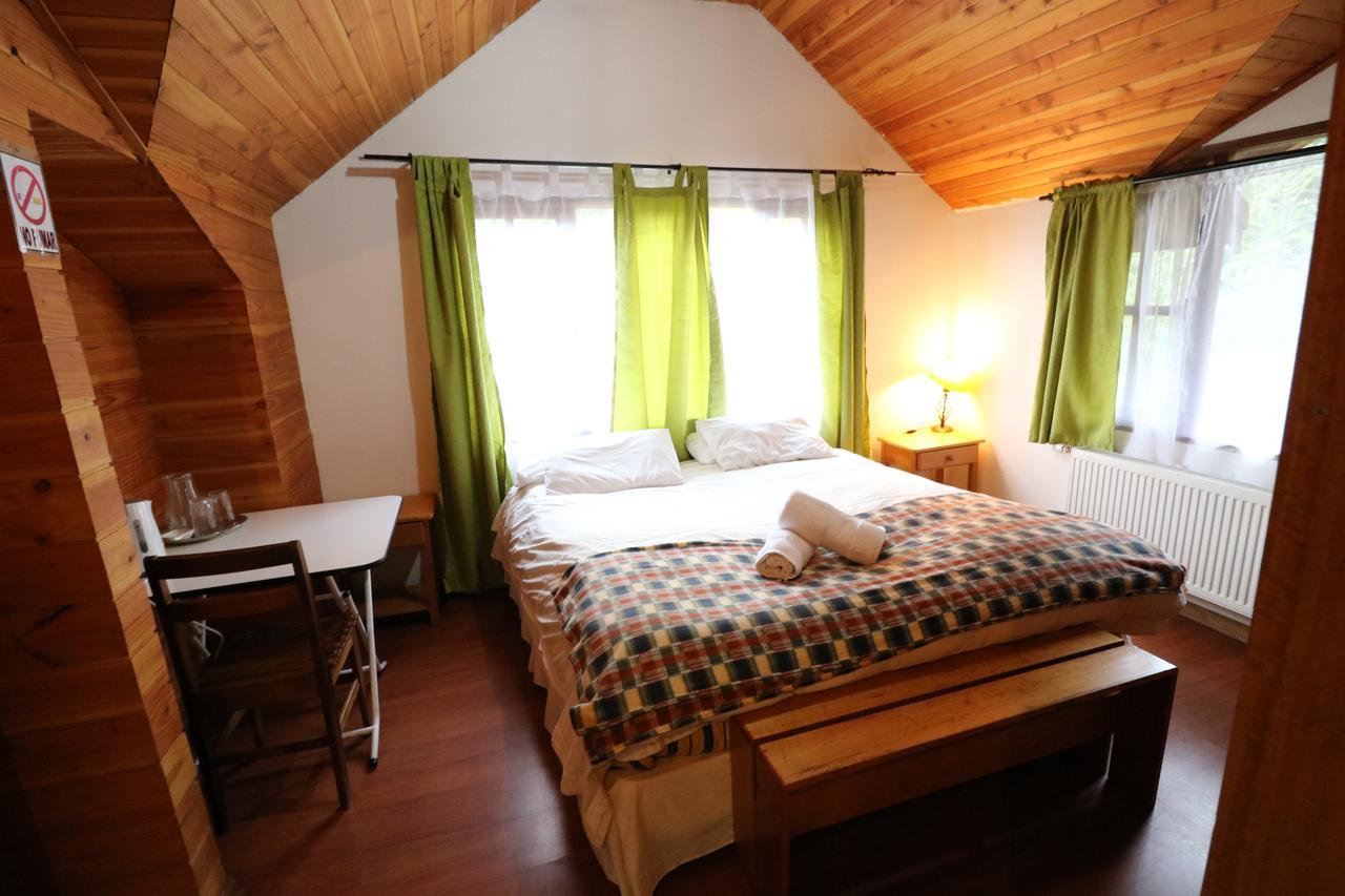 Santa Maria Pucon Hotel Екстериор снимка